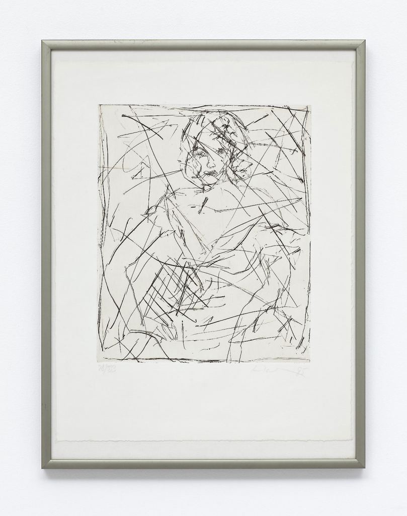 Hahn, Friedemann - o.T. - 1985