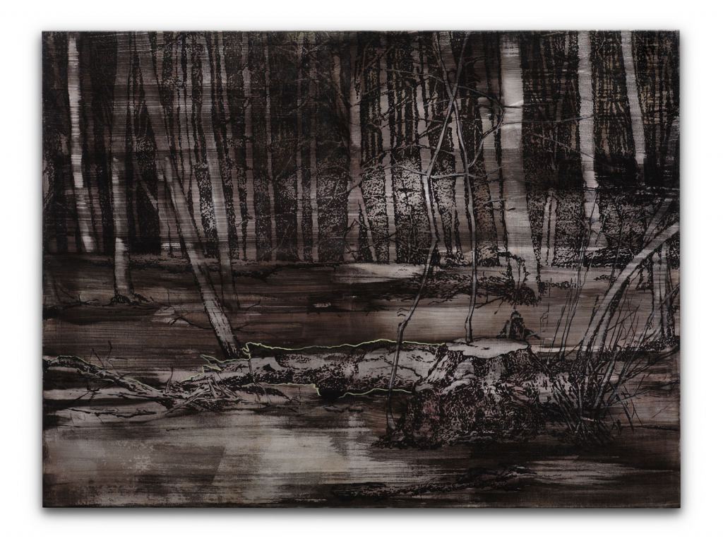 Lipski, Roman - o.T. (Wald IV) - 2007