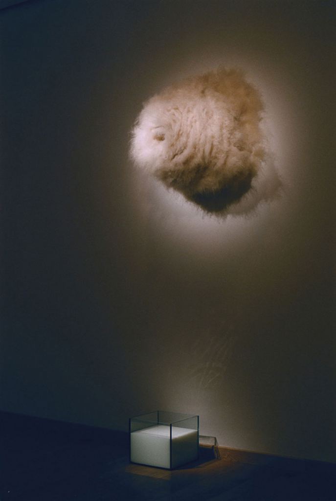 Popic, Jovana - Lauf / Tok - 2003